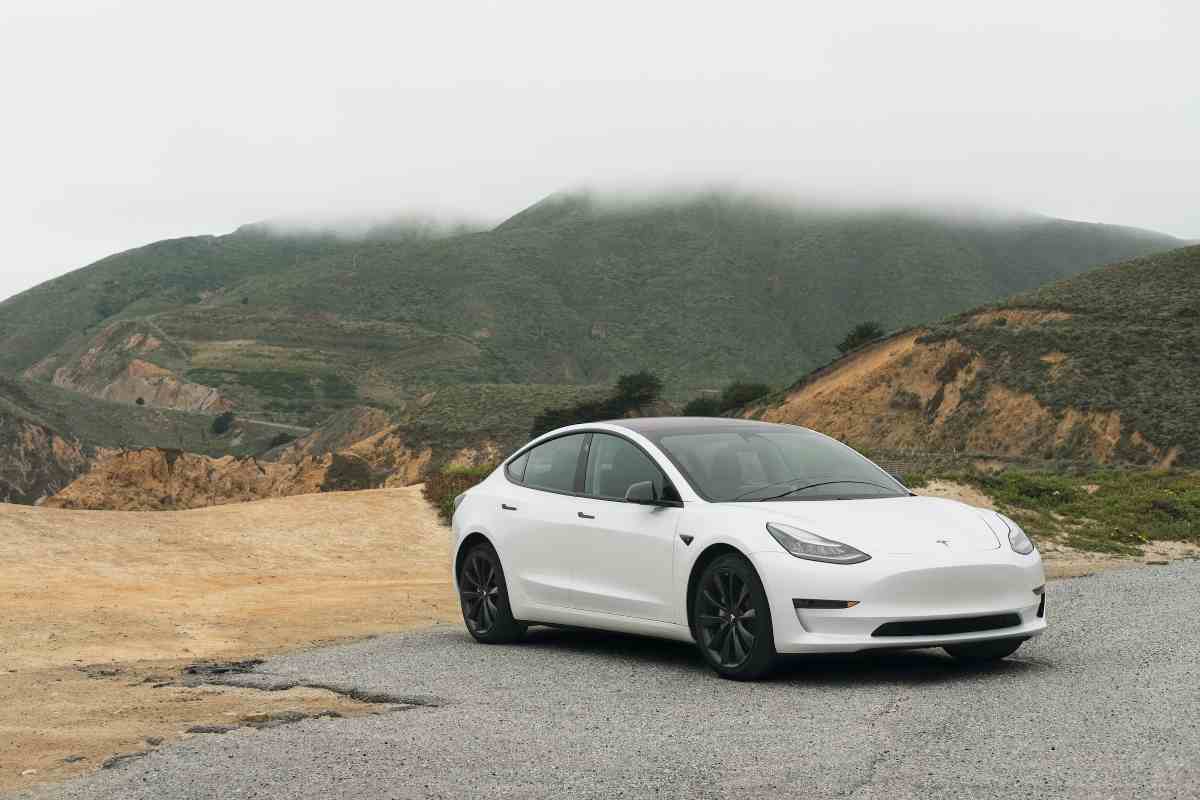 Tesla bianca